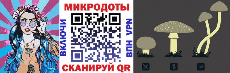 Псилоцибиновые грибы прущие грибы  Белый 